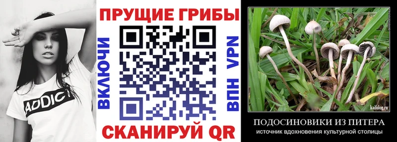 Купить закладки  Череповец  Галлюциногенные грибы ЛСД 